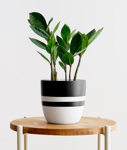 demo product