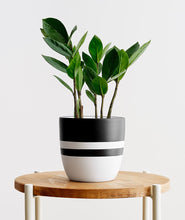Load image into Gallery viewer, product123#
